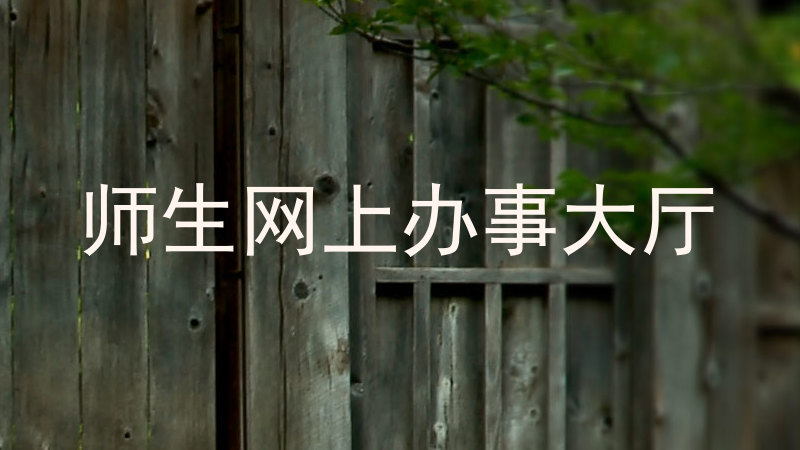 师生网上办事大厅