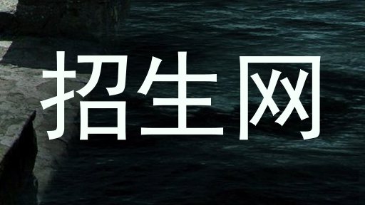 招生网