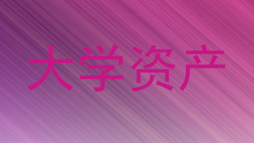 大学资产