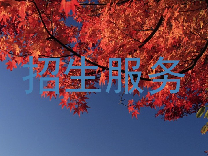 招生服务