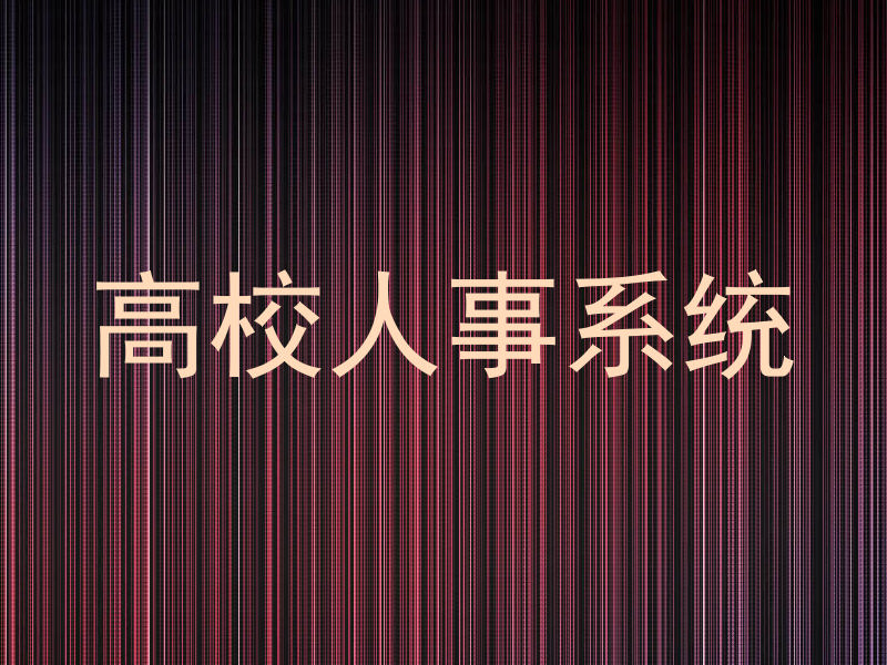 高校人事系统