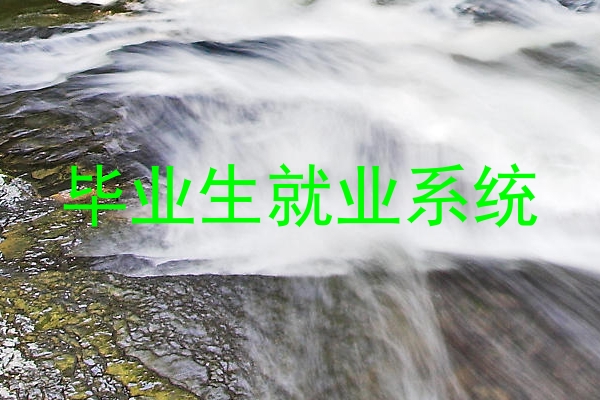 毕业生就业系统