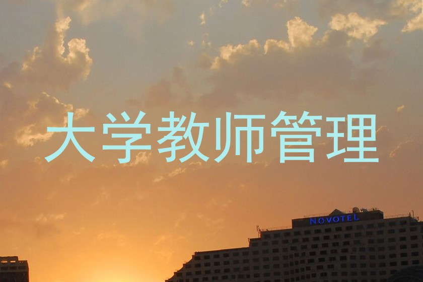 大学教师管理