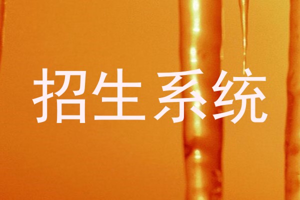 招生系统