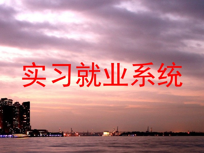 实习就业系统