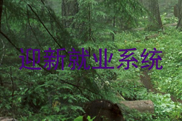 迎新就业系统