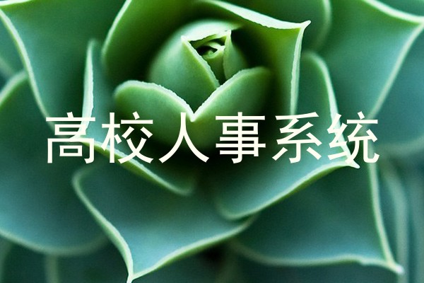 高校人事系统