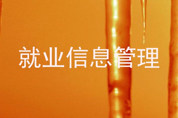 就业信息管理