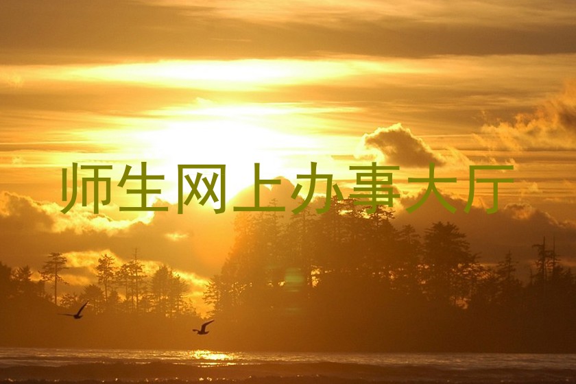 师生网上办事大厅