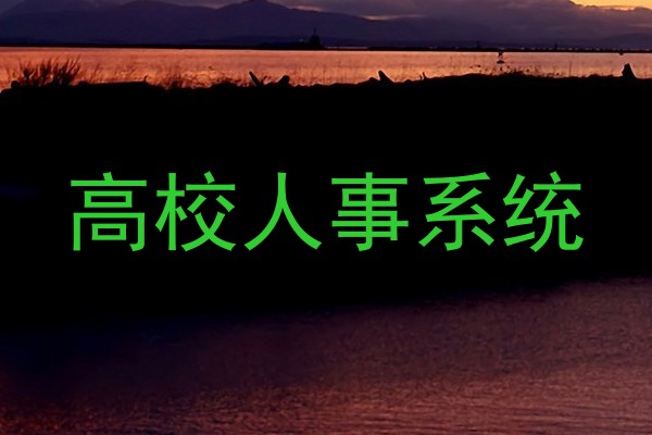 高校人事系统