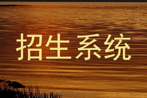 招生系统