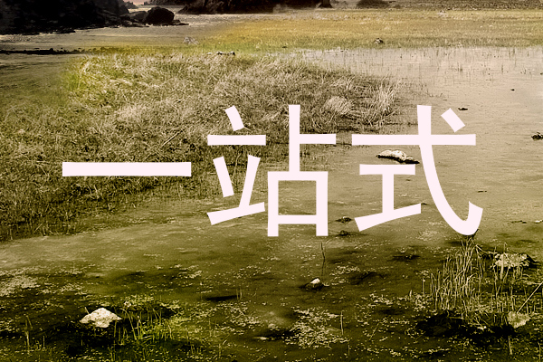 一站式