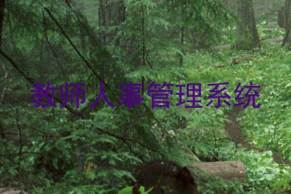 教师人事管理系统