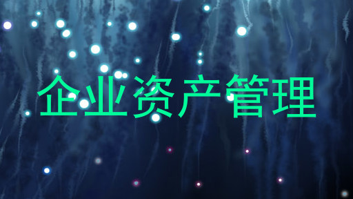 企业资产管理