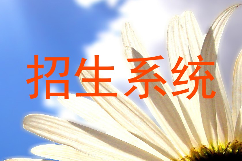 招生系统