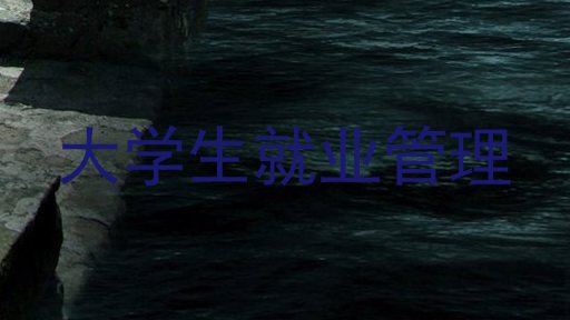 大学生就业管理