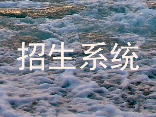 招生系统