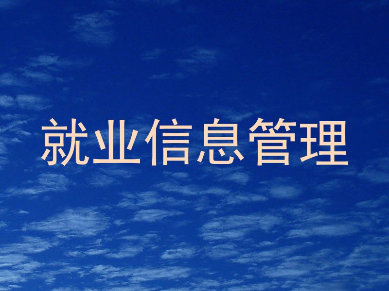 就业信息管理