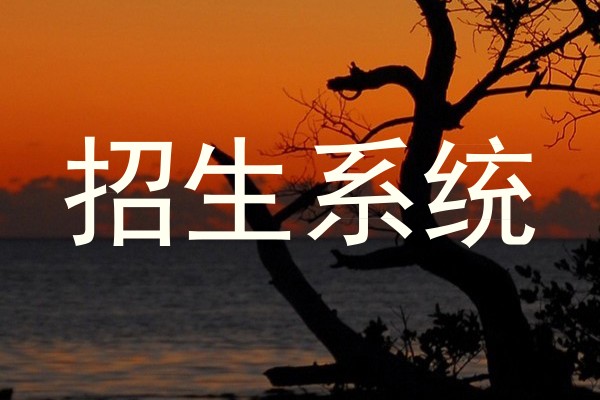 招生系统