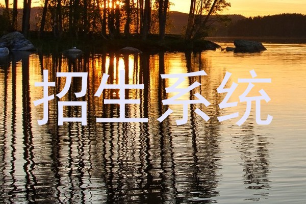 招生系统