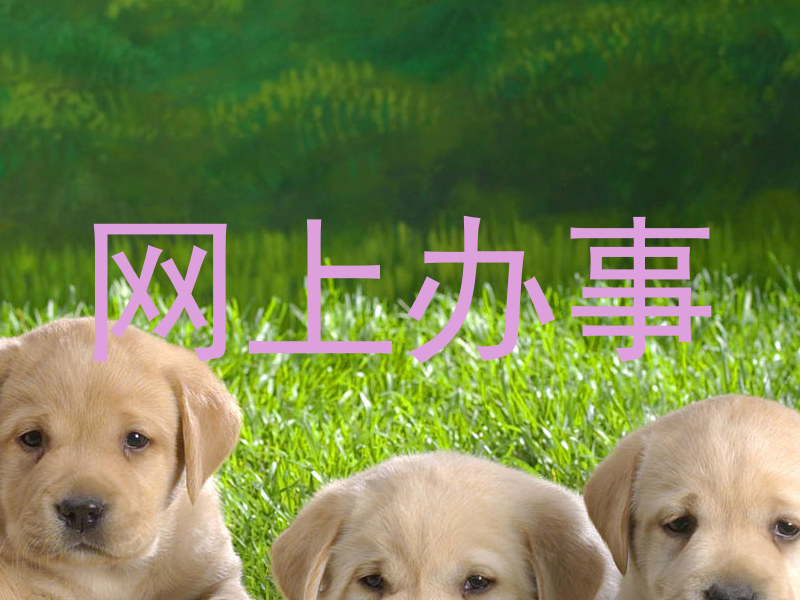 网上办事