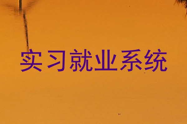 实习就业系统