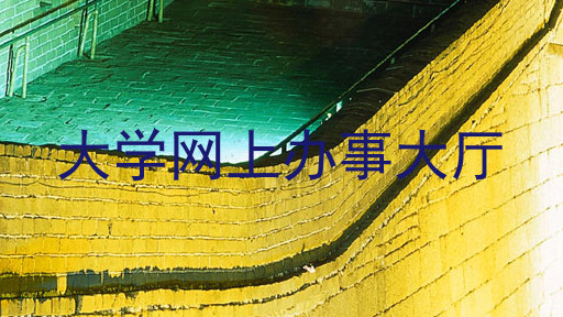 大学网上办事大厅