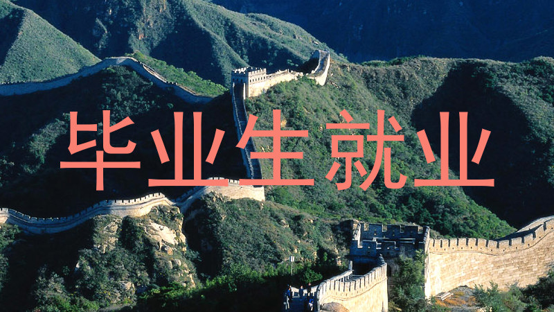 毕业生就业