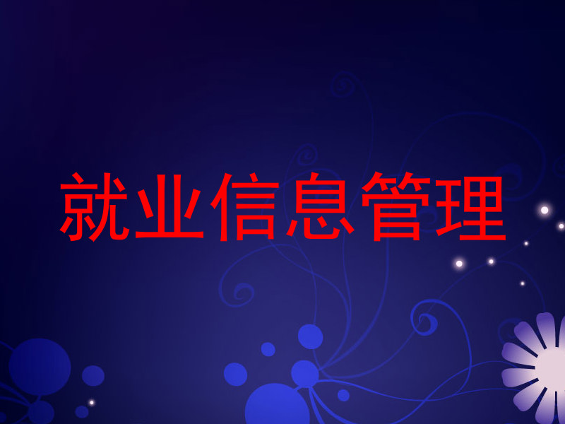 就业信息管理