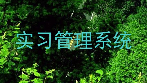 实习管理系统