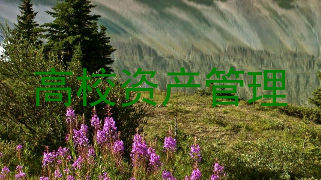 高校资产管理