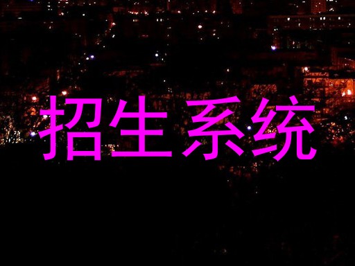 招生系统
