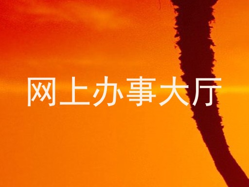 网上办事大厅