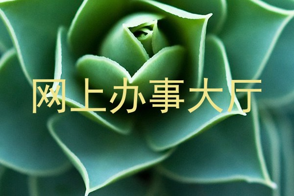 网上办事大厅