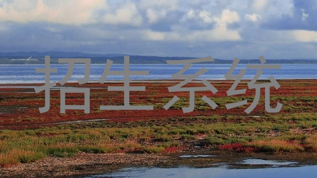招生系统
