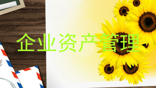 企业资产管理