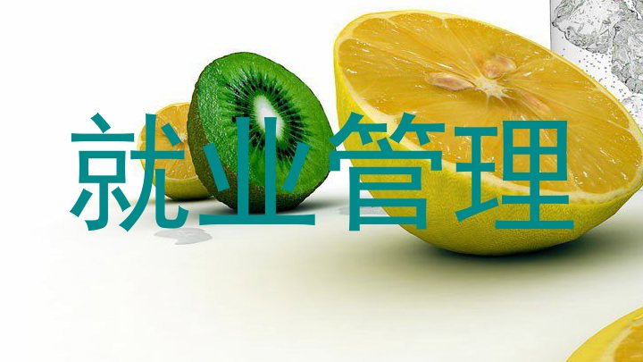 就业管理
