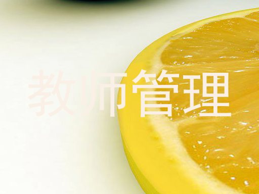 教师管理