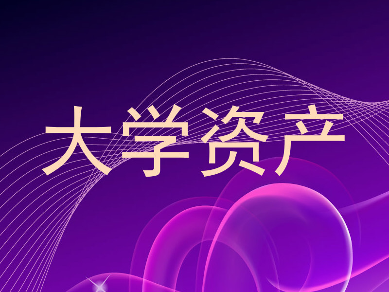 大学资产
