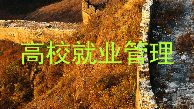 高校就业管理