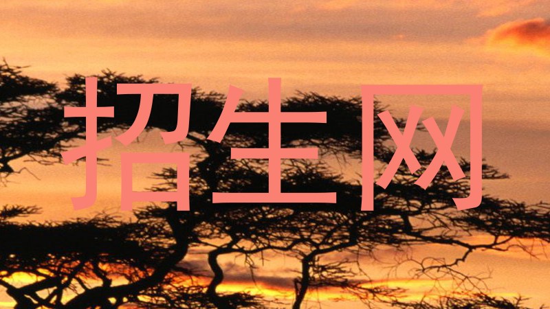 招生网