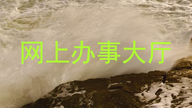 网上办事大厅