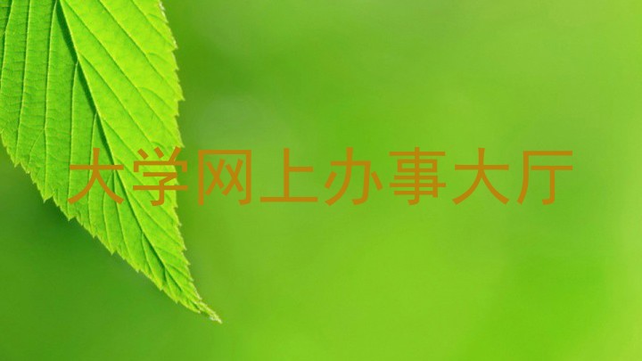 大学网上办事大厅