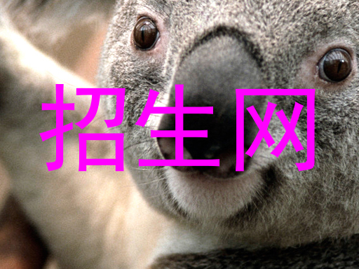 招生网