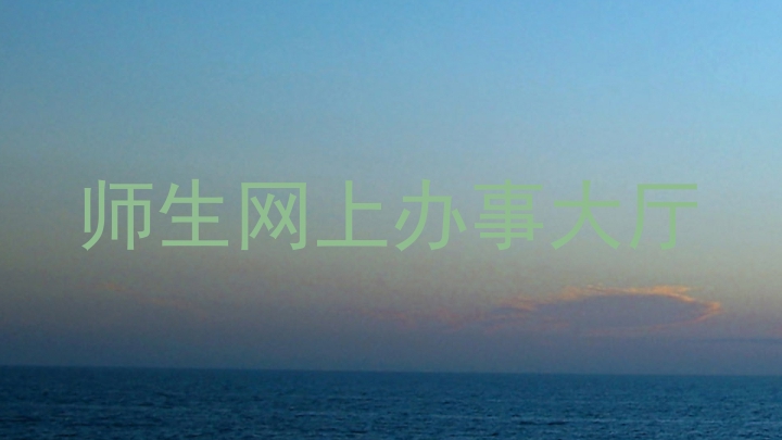 师生网上办事大厅