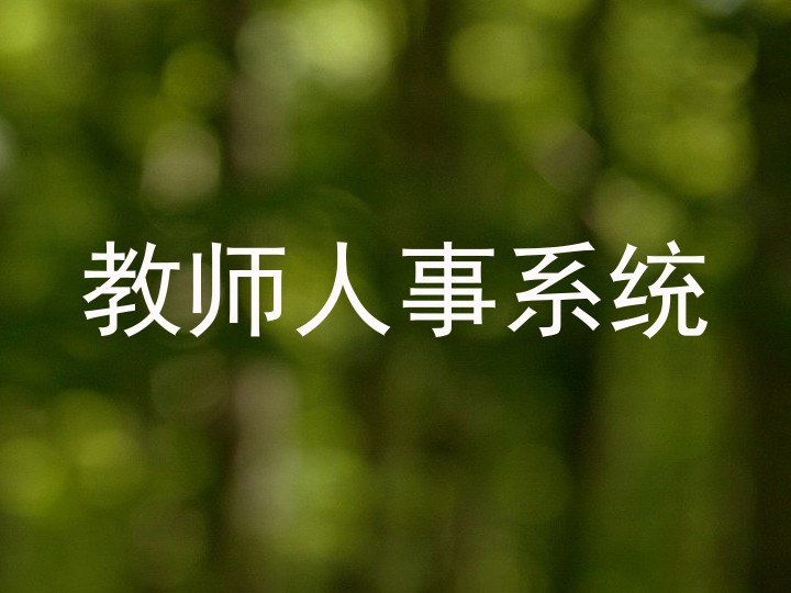 教师人事系统