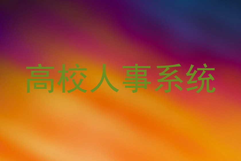 高校人事系统
