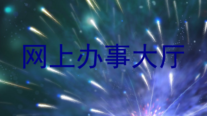 网上办事大厅