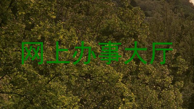网上办事大厅