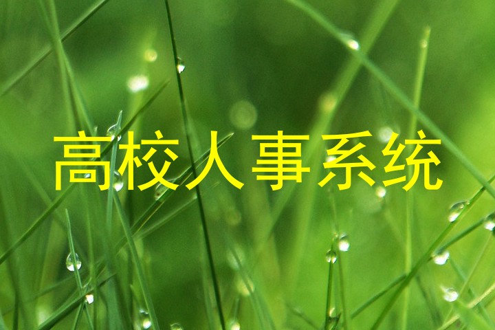高校人事系统